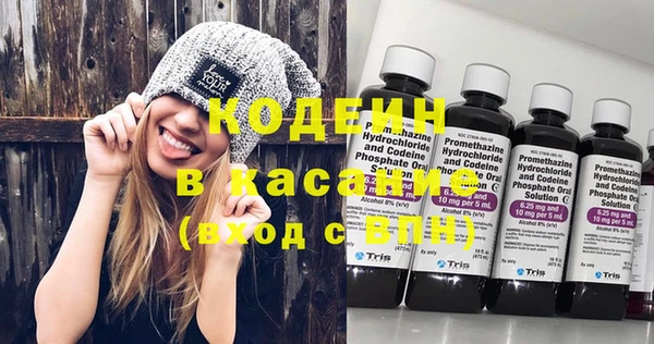прущие грибы Балабаново