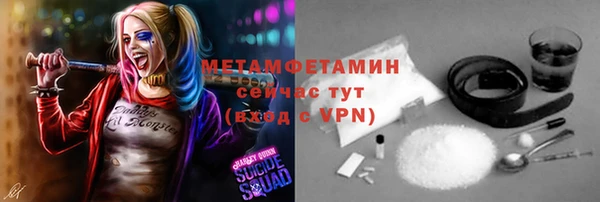 прущие грибы Балабаново