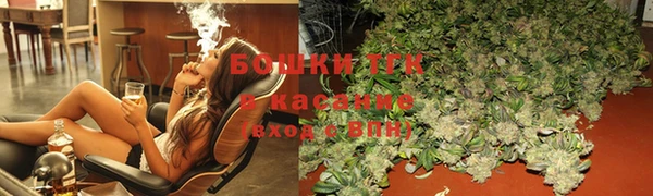 прущие грибы Балабаново