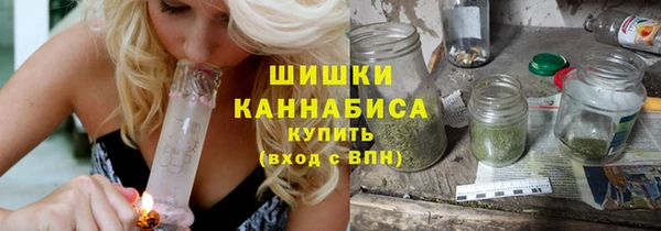 прущие грибы Балабаново